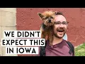 Road Trip to Davenport Iowa BEST of the Quad Cities