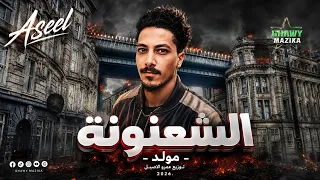 مولد الشعنونة  مزيكا رقص شعبي افراح        غاوي مزيكا                دندنها