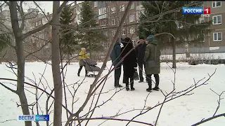 Омичи выступили против обрезки деревьев на улице Бородина