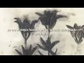 sufjan stevens — size too small (sub.español)