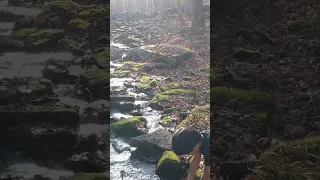 Washing Hands Mianus River Gorge Preserve In Bedford NY 