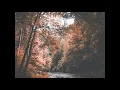 Calippo - Carry Me (sped up)