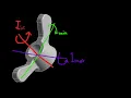 Intermediate axis theorem
