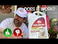 In-Depth Review Demo of Ortho Home Defense Insect Killer