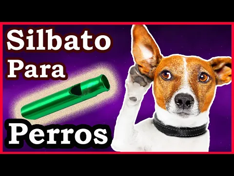 Download MP3 Silbato para perros - Sonido ultrasónico para perros