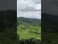 Jadi keinget iklan silverqueen