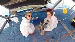 Haulout Makeover!- Sailing SV Delos Ep. 57