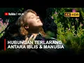 Lagu ASMARA YANG MENYIMPANG DARI ISTRI MUDA