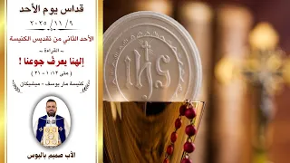 قداس يوم الأحد الأب صميم باليوس كنيسة مار يوسف ميشيكان 