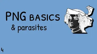 4 PNG basics & parasites