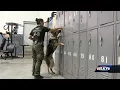 LMDC narcotics K9 unit making an impact in Louisville jail