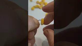 طريقه تطعيم الذرة الصفراء Fishing Fishing Hook 