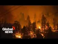 Global National Aug 8 2026 Explosive wildfire conditions push BC to declare state of emergency