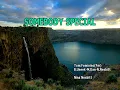 Nina Nesbitt - Somebody special / Karaokê