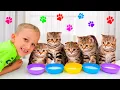 Download Lagu Vlad dan Niki bermain dengan anak kucing