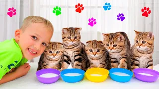 Download Vlad dan Niki bermain dengan anak kucing MP3