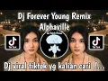 Download Lagu DJ FOREVER YOUNG ALPHAVILLE | DJ FOREVER YOUNG REMIX DJ ROJAK RIMEX VIRAL TIKTOK TERBARU 2024