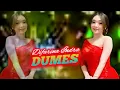 Download Lagu DUMES - DIFARINA INDRA ADELLA LIRIK KOPLO TERBARU