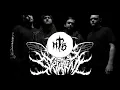 Signs Of The Swarm - Amongst The Low & Empty