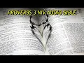PROVERBS 3 NIV BIBLE with text