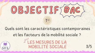 [BAC] Cours Mobilité Sociale - Les mesures de la MS