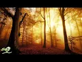 Download Lagu Peder B. Helland - Warm Light
