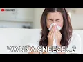 Download Lagu VARIETY OF SNEEZES beragam suara bersin