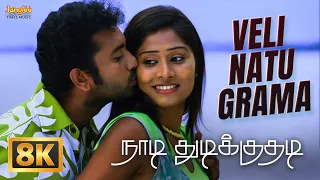 Veli Natu Grama - 8K Video Song | Naadi Thudikuthadi | Ilaiyaraaja