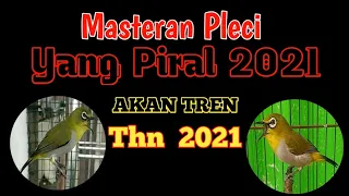 Download Masteran Pleci Yang Akan Piral Tahun 2021 // Masteran Pleci Piral // Masteran Pleci Yang Tren 2021 MP3