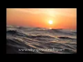 Emotional Regulation Meditation