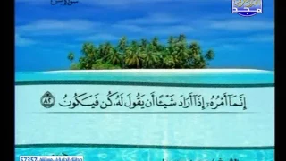 الجزء 23 ختمة منوعة بمعانى الكلمات محمد جبريل سعد الغامدى ياسرسلامه ابراهيم الاخضر 