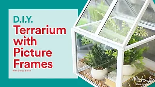 How to Make a Terrarium with Picture Frames Michaels