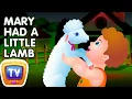 Download Lagu Mary Had A Little Lamb Nursery Rhyme With Lyrics - Cartoon Animation Rhymes \u0026 Songs for Children
