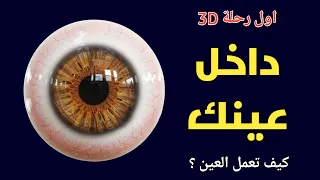 أول رحلة ثلاثية الأبعاد داخل العين البشرية كيف تعمل عينك و ترى العالم دروس طبية 