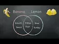 Venn Diagram