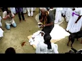 Download Lagu HAITI VOODOO DRUMS - “IBO“ - Voodoo trance music: Ritual Drums of Haiti 1973