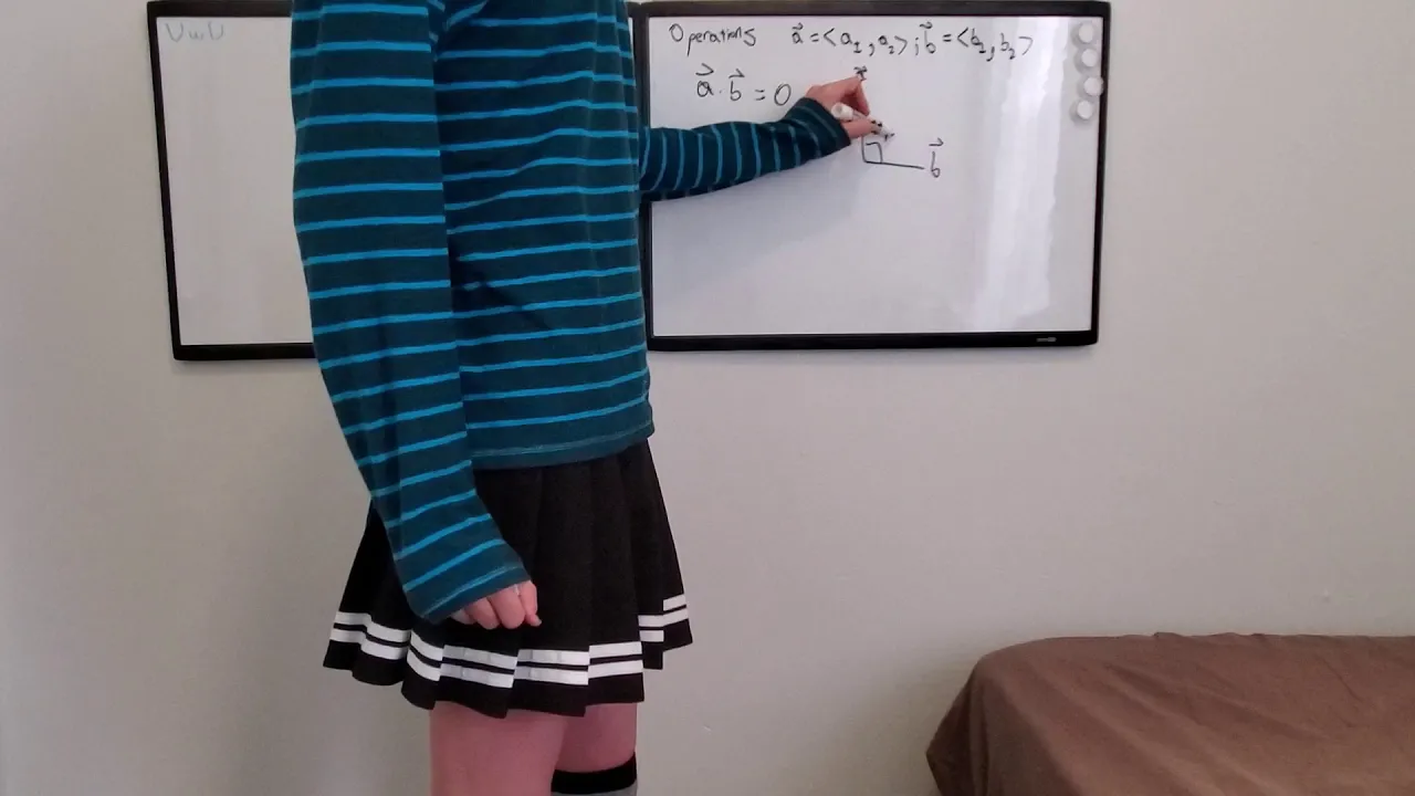 Femboy Physics Feetnote 1 Vector Basics