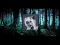 When the river is calling (Stonekeepers feat Revel Day cover) - Thal
