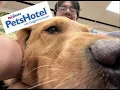 Day in the life of A Employee