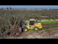 Lagu Grinding an Almond Orchard on a sunny January California day