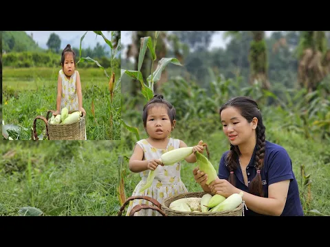 Download MP3 Pick corn to sell at the market and buy food to improve the mother and child's daily meals