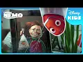 Download Lagu 🏁 Will Nemo Join the Tank Gang? | Finding Nemo | Disney Kids