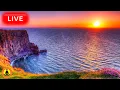 Download Lagu 🔴 Relaxing Music 24/7, Stress Relief Music, Sleep Music, Meditation Music, Study, Calming Music