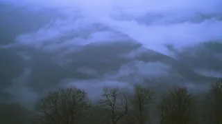 عبد الرحمن مسعد مع صوت المطر ولا تجادلوا اهل الكتاب الا بالتي هي احسن 