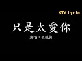 【KTV Lyric】張敬軒 只是太愛你 歌詞