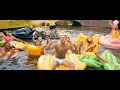 Download Lagu Mart Hoogkamer - Ik Ga Zwemmen (Officiële Videoclip)