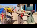 Download Lagu جشن The operator's help to Ali's family: and Zainab's jealousy for Ali to stay with Sakineh