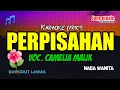 Download Lagu karaoke dangdut || perpisahan || Camelia Malik || nada wanita @jons