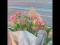 Download Lagu Emily watts - La Vie En Rose