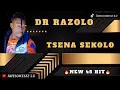 Download Lagu DR RAZOLO_ TSENA SEKOLO (NEW 45 HIT) Prod. Mikelmike